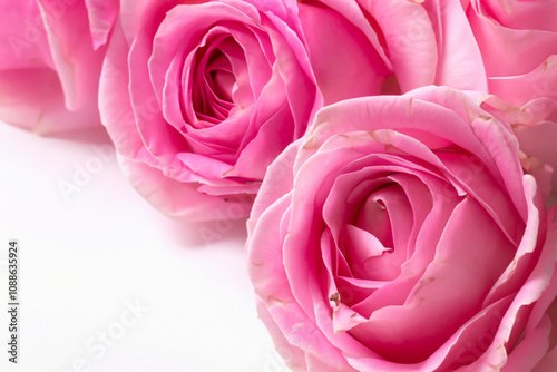 Bouquet of white roses against white. rose flower beautiful concept. a bouquet of pink roses lies on a white . a bouquet of pink roses lying on lifestyle a white.