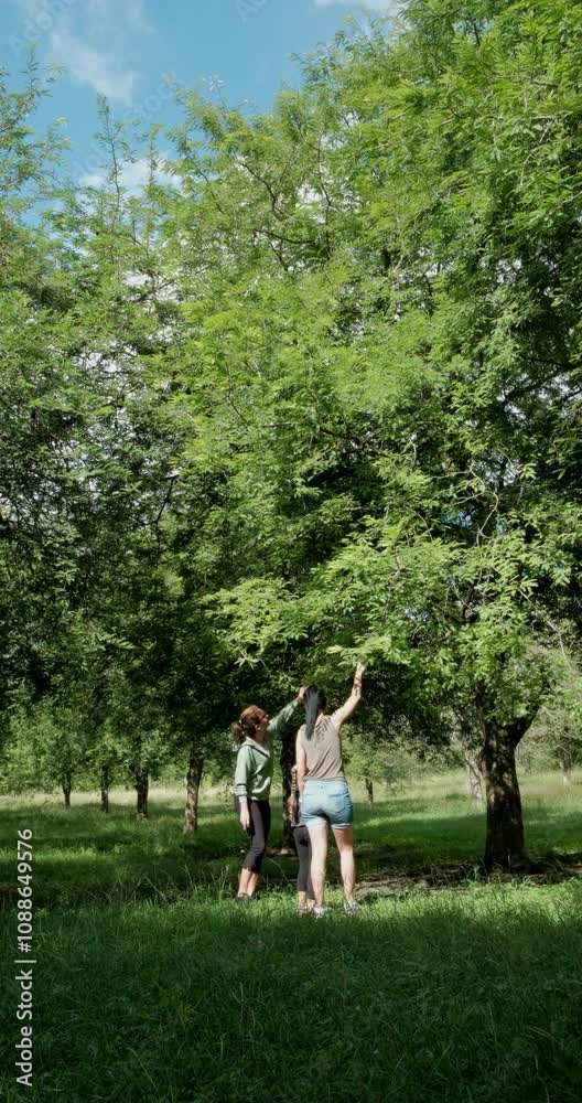 person in a park, family of 2 LGBT women with children enjoying a walk in the woods. person in a park, family of 2 LGBT women with children enjoying a walk in the woods.