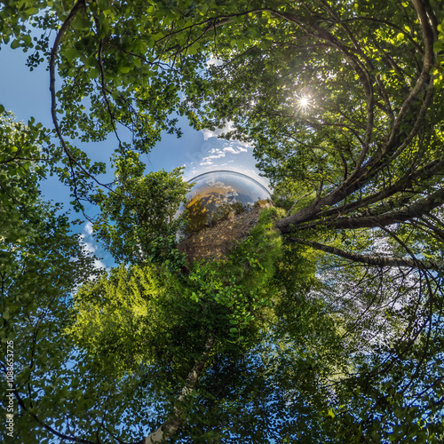 tiny planet transformation of spherical panorama 360 degrees. Spherical abstract aerial view with trees in forest with clumsy branches in blue sky. Curvature of space. photo