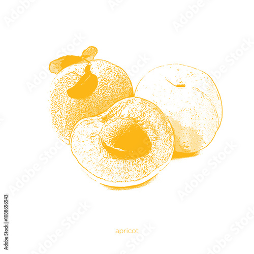 Halftone colorful concept vector fruits