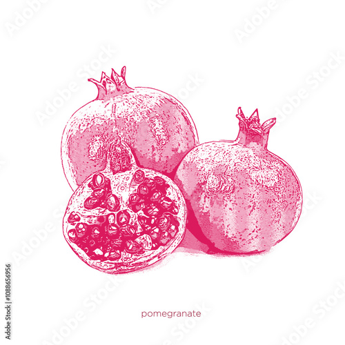 Halftone colorful concept vector fruits