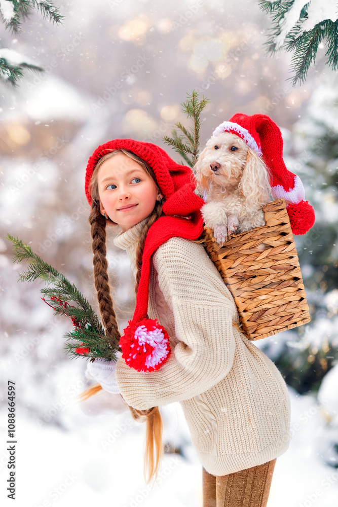 Girl kid in a Santa hat and a dog poodle Christmas at winter in New Year