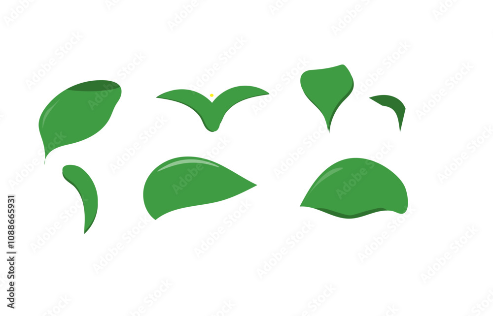 The leaves are different on a white background