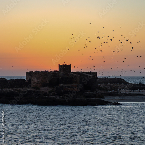 Essaouira