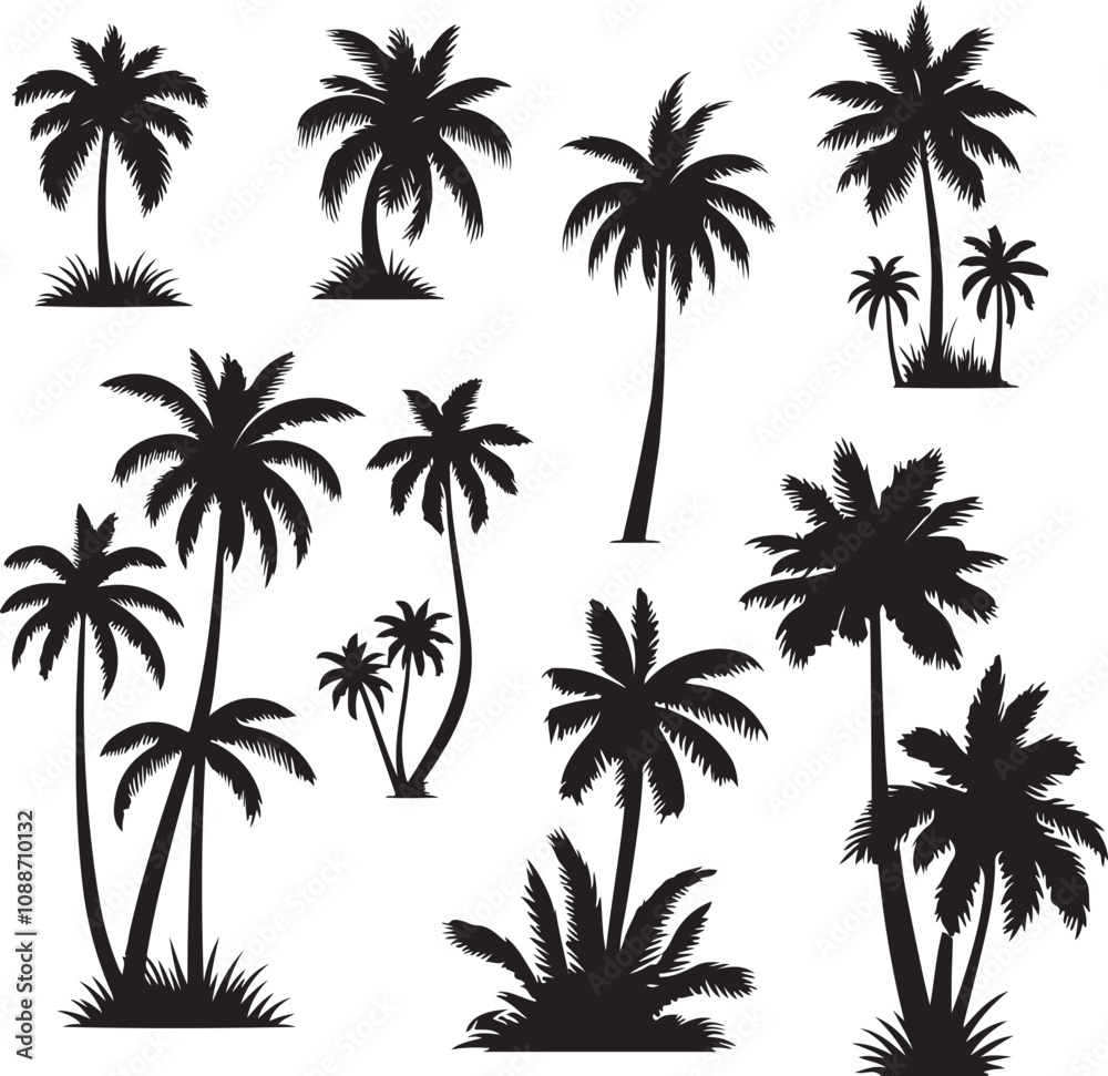 Set of Tropical Palm Tree Silhouettes Set of Tropical Palm Tree Silhouettes