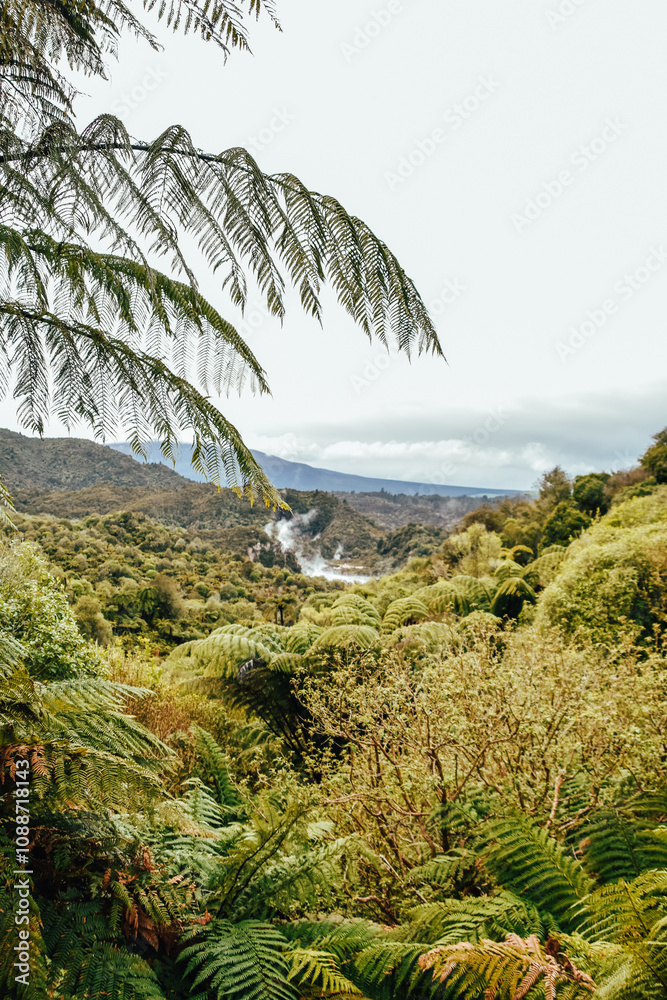 Fototapeta premium Fotografía del Waimangu Volcanic Valley en Rotorua, Nueva Zelanda.