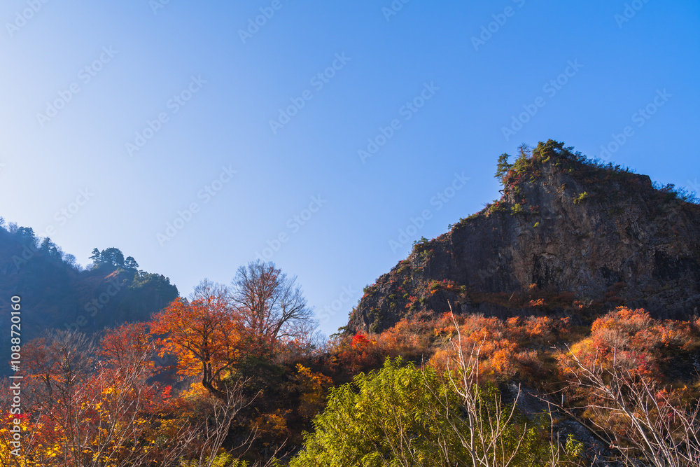 岩山と紅葉