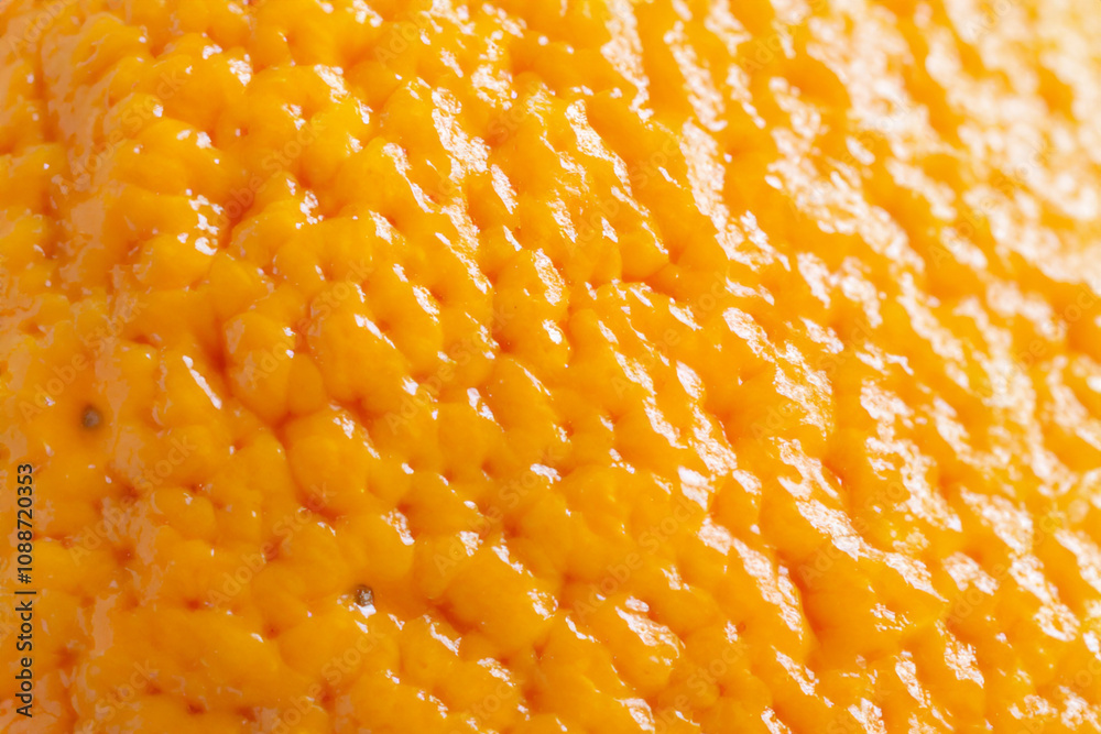 Macro of oranges and peels of fruit. Food organic fresh concept. Macro of oranges, oranges and oranges peeling. Macros of oranges and citrus peels lifestyle in a container. Macro of oranges and peels of fruit. Food organic fresh concept. Macro of oranges, oranges and oranges peeling. Macros of oranges and citrus peels lifestyle in a container.