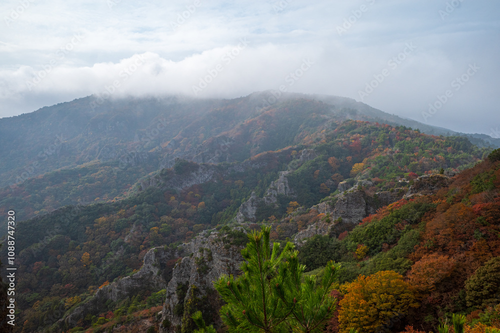 日本の香川県の小豆島の寒霞渓の秋の美しい紅葉 日本の香川県の小豆島の寒霞渓の秋の美しい紅葉