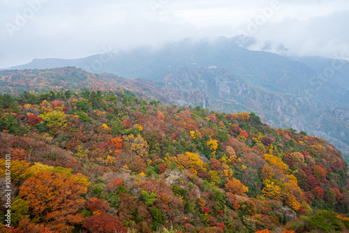 日本の香川県の小豆島の寒霞渓の秋の美しい紅葉 #1088748101