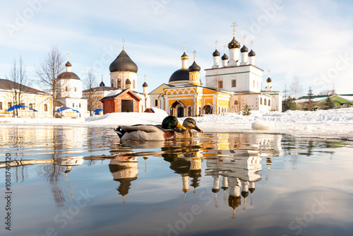 Two ducks swimming peacefully on a reflective pond near the historic Voznesenskaya Davidova Pustyn Monastery in Russia, symbolizing love, harmony, faith, and family in a serene winter setting photo