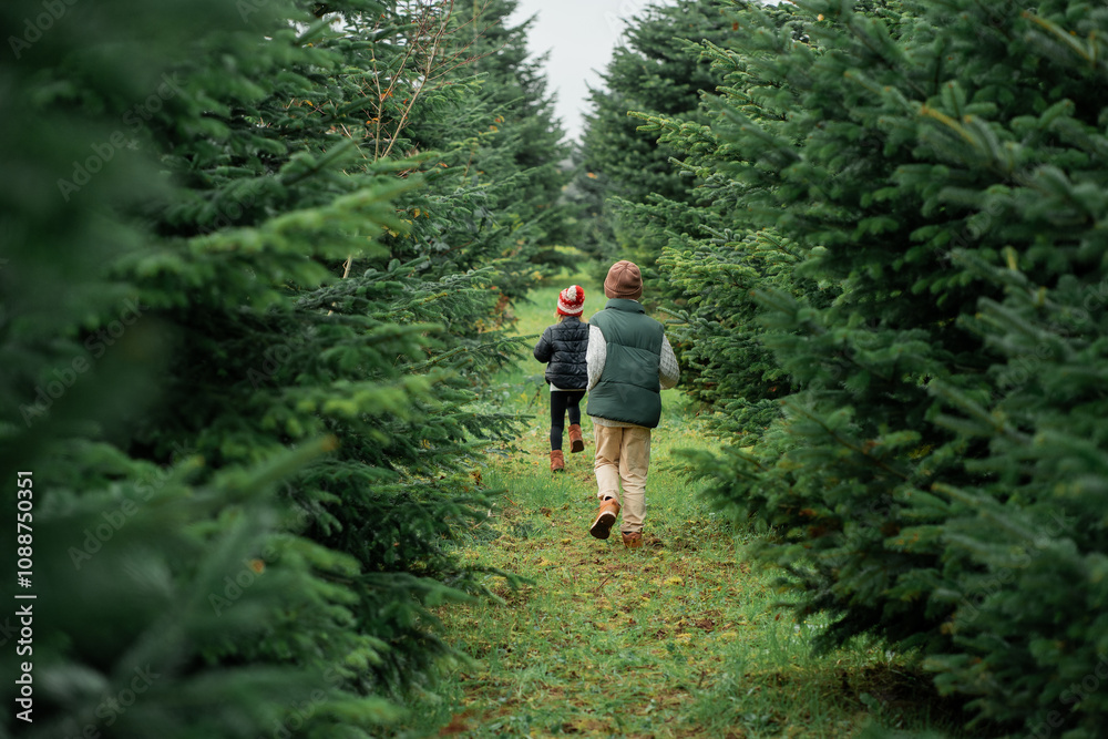Cute little children choose Christmas tree for home at the market. Winter holidays. Cute little children choose Christmas tree for home at the market. Winter holidays.