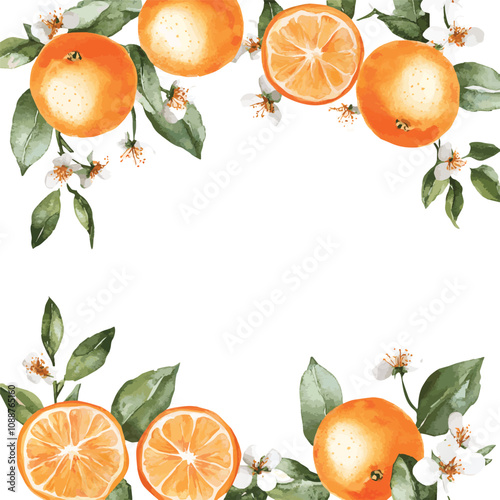 vector watercolor oranges with flowers border set on white, perfect for invitation card design, orange botanical Wedding Invitation, floral invite thank you,  modern card Design in oranges and flowers