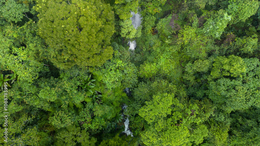 Naklejka premium Carbon credit concept village in the lush green rain cloud and foggy cover tropical rain forest mountain during the rainy season..