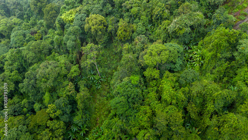 Carbon credit concept village in the lush green rain cloud and foggy cover tropical rain forest mountain during the rainy season.. photo