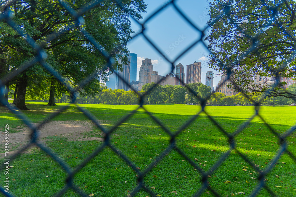 Fototapeta premium Sheep Meadow in Central Park seen through a metal fence