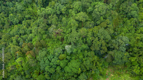 Carbon credit concept village in the lush green rain cloud and foggy cover tropical rain forest mountain during the rainy season.. photo