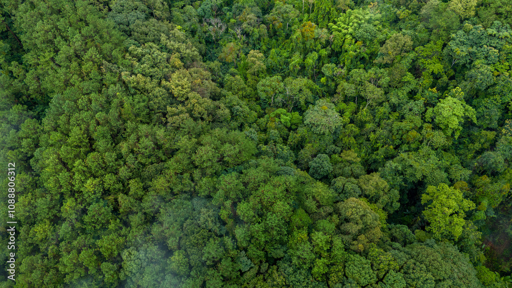 Fototapeta premium Carbon credit concept village in the lush green rain cloud and foggy cover tropical rain forest mountain during the rainy season..