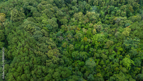 Carbon credit concept village in the lush green rain cloud and foggy cover tropical rain forest mountain during the rainy season.. photo