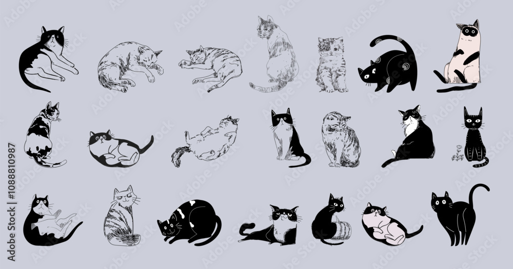 Naklejka premium Set of cute cats, kitten line drawing pet animal collection . Hand drawn, engaving, outline domestic animal isolated on background.