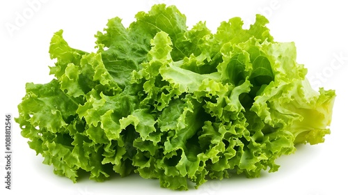 green lettuce on white background