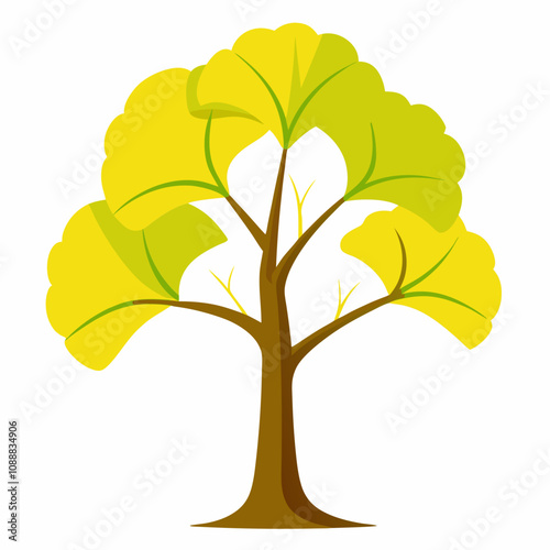 Beautiful ginkgo bilabial tree vector illustration on white background 