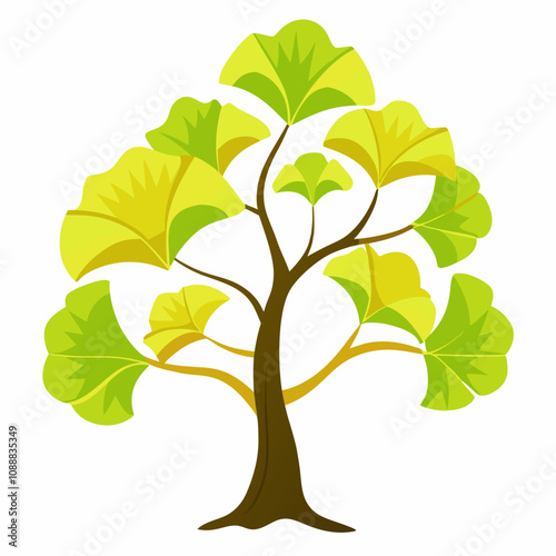 Beautiful ginkgo bilabial tree vector illustration on white background 