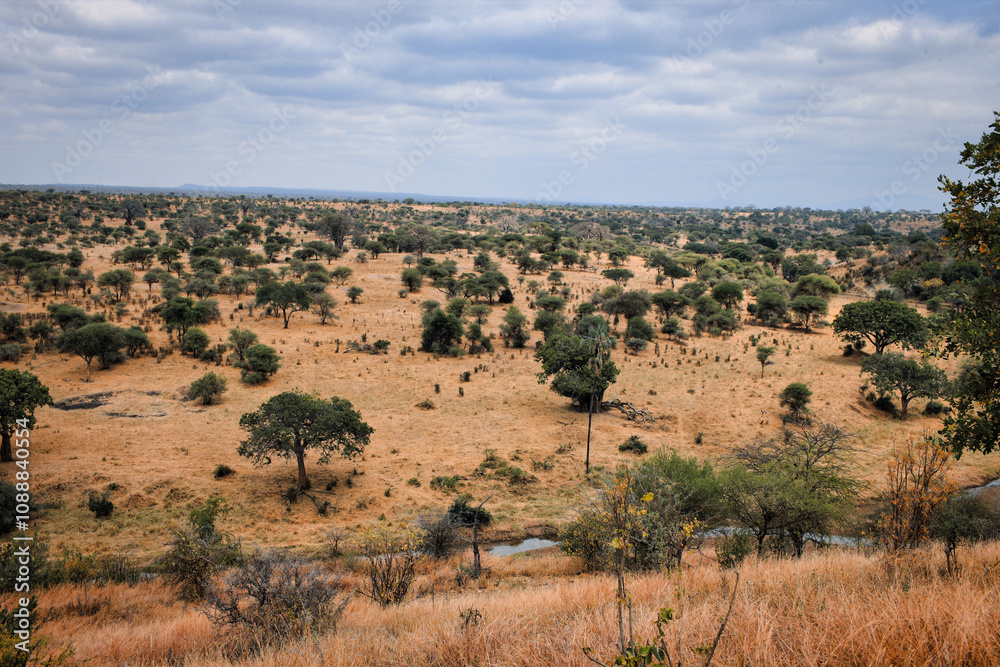 Vast savannah landscape with scattered trees and calm river under cloudy sky in Africa Vast savannah landscape with scattered trees and calm river under cloudy sky in Africa