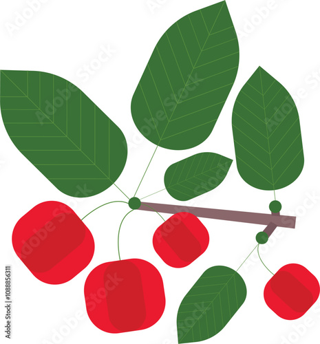 Acerola stylized vector illustration