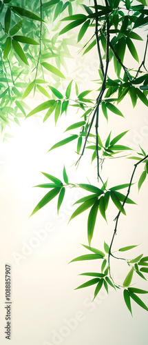 Chinese style bamboo, green leaves, bamboo forest, white background, high definition photography, super realistic details, 