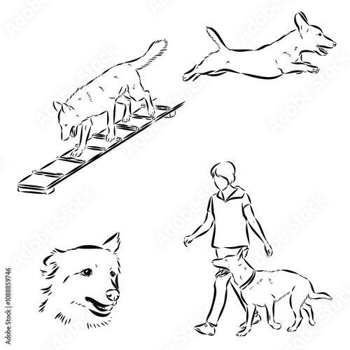 Scenes of dog training with cartoon characters of man and his pet learning various commands