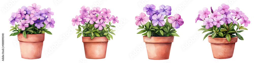 Vibrant Phlox Blooms in Ceramic Pot with Watercolor Artwork Vibrant Phlox Blooms in Ceramic Pot with Watercolor Artwork