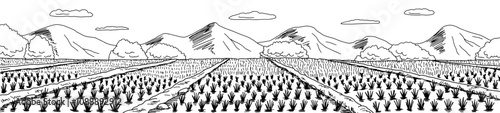 Rice field graphic black white landscape sketch long illustration vector 