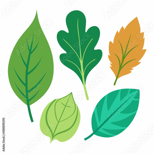 Different type of atlantic leaves vector illustration on white background