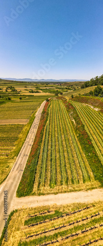 Drohnenbilder der Weinberge rund um den Kaiserstuhl