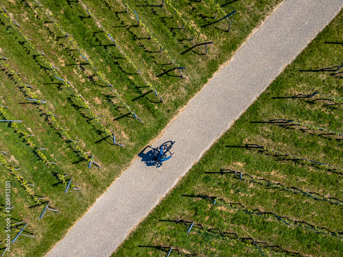 Radfahrer mit Gepäck auf dem Badischen Weinradweg