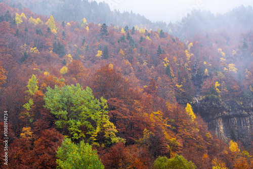 Autumn foliage in Ordesa and Monte Perdido National Park, Spain photo