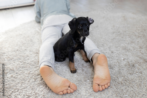 cute dark brown puppy sits on a light rug between the bare feet of an unrecognizable child. A moment of joy and happiness. cozy childhood of pets at home. Selective focus