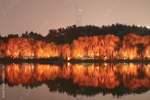 Noche de luces en parque ChaoYang, Pekín - China photo