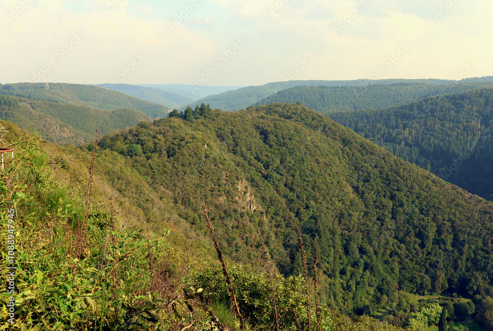 Obraz premium Hügelige Eifellandschaft beim Kurort Bad Bertrich in der Eifel im Landkreis Cochem-Zell. Aussicht vom Aussichtspunkt 