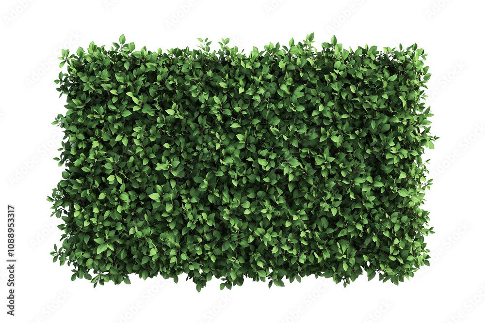 Top view of a hedge row isolated or on white background 3d render png. Architecture plan Top view of a hedge row isolated or on white background 3d render png. Architecture plan