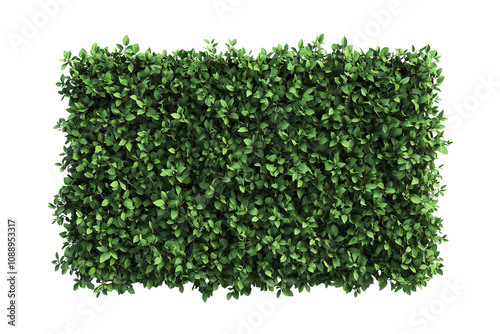 Top view of a hedge row isolated or on white background 3d render png. Architecture plan