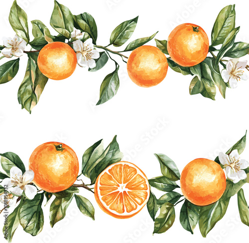 vector watercolor oranges with flowers border set on white, perfect for invitation card design, orange botanical Wedding Invitation, floral invite thank you, modern card Design in oranges and flowers