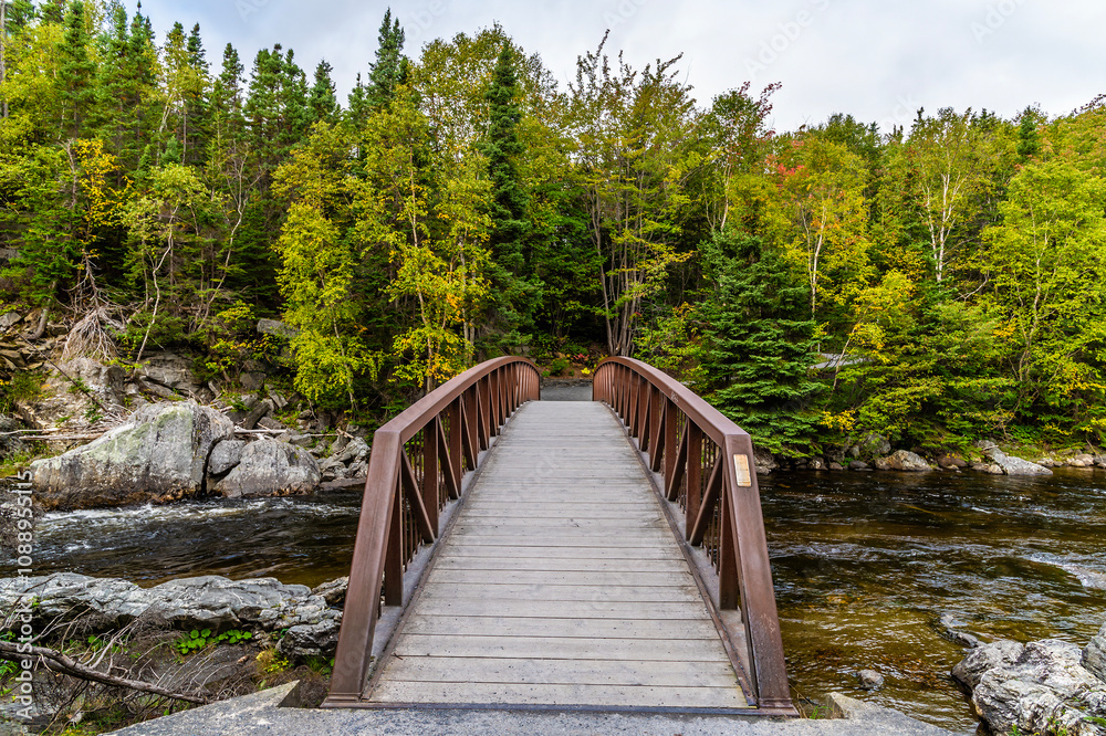 A view across a footbridge over the Corner Brook Stream at Corner Brook in Newfoundland, Canada in the fall
A view across a footbridge over the Corner Brook Stream at Corner Brook in Newfoundland, Canada in the fall