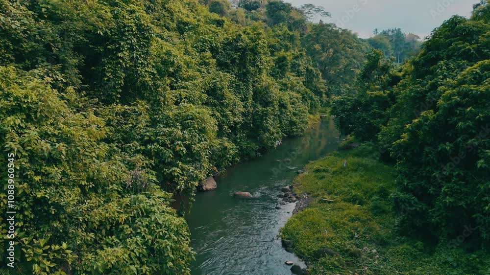 A serene drone flight captures a meandering river flowing through a tropical landscape with green trees. The tranquil setting reveals nature's beauty. A serene drone flight captures a meandering river flowing through a tropical landscape with green trees. The tranquil setting reveals nature's beauty.