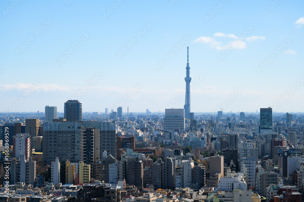 Obraz premium 東京都 文京シビックセンター展望ラウンジから見る街並み 東京スカイツリー方向