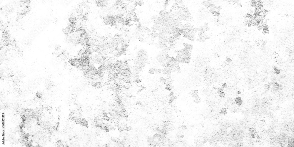Texture black and white abstract grunge style, Pattern and texture of cracks, Seamless grunge texture on white concrete wall for background, Wall fragment with scratches and cracks. Texture black and white abstract grunge style, Pattern and texture of cracks, Seamless grunge texture on white concrete wall for background, Wall fragment with scratches and cracks.