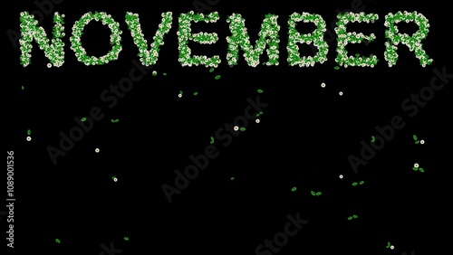 Beautiful illustration of November text with green leaves and white daisy flowers on plain black background