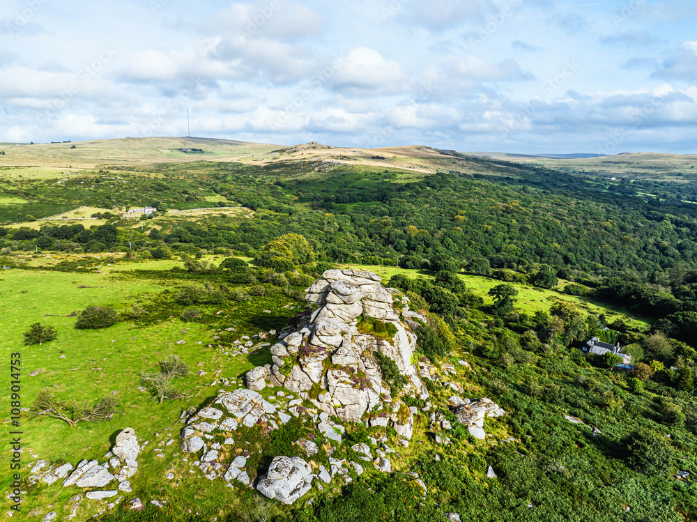 Obraz premium Vixen Tor from a drone, Dartmoor National Park, Yelverton, Devon, England, Europe