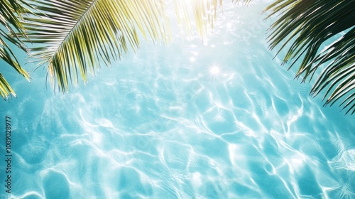 A palm tree is reflected in the water. The water is blue and the palm tree is green